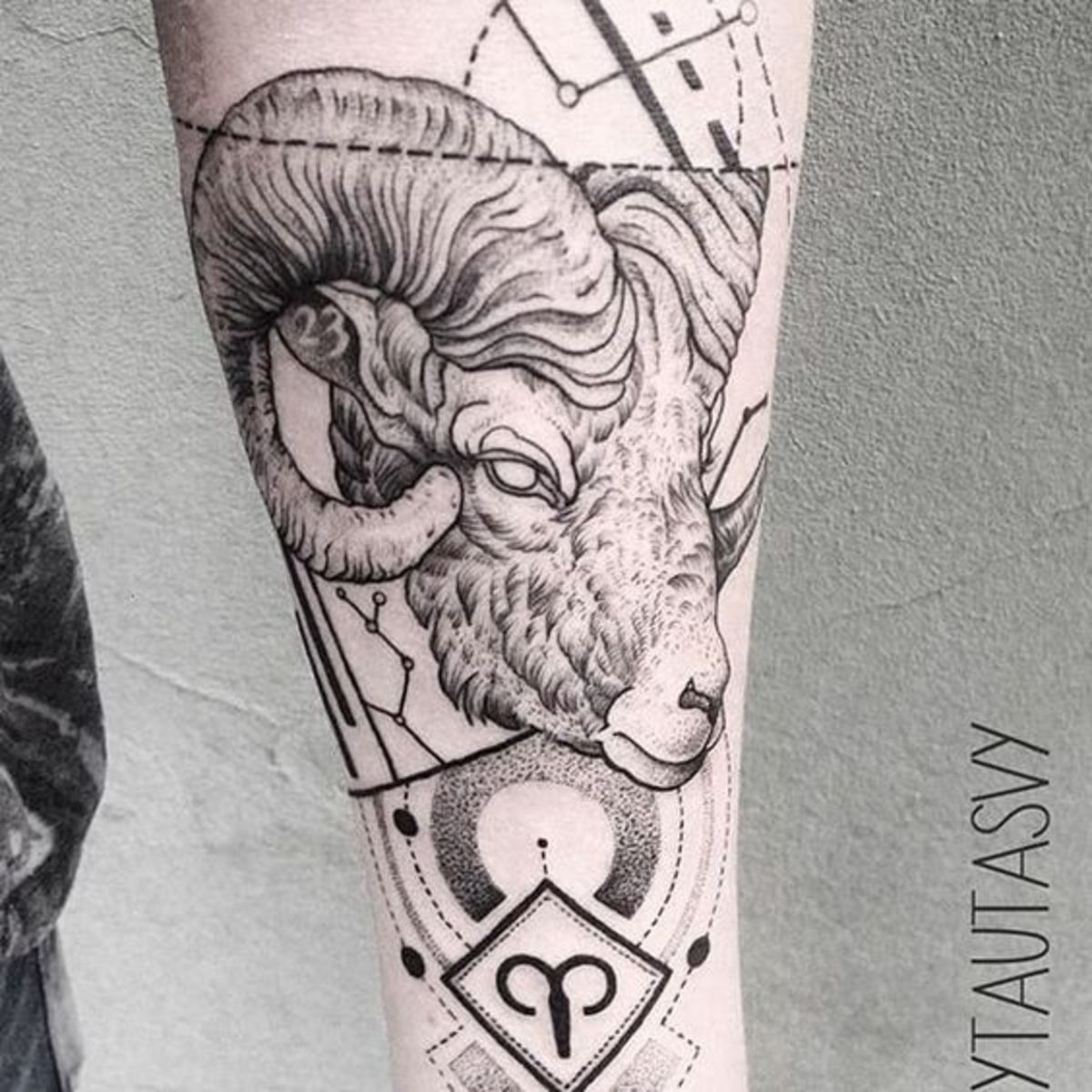 Tetování Berana od Vytautase Vy