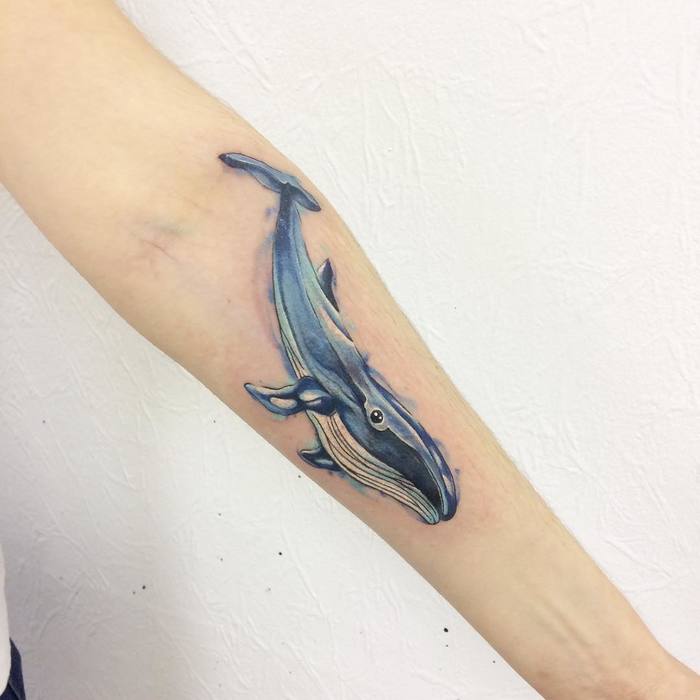 kék bálna alkar tetoválása