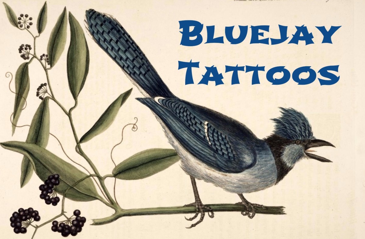 bluejay-dövmeler-ve-tasarımlar-bluejay-dövme-anlamlar-ve-fikirler-bluejay-dövme-resimleri