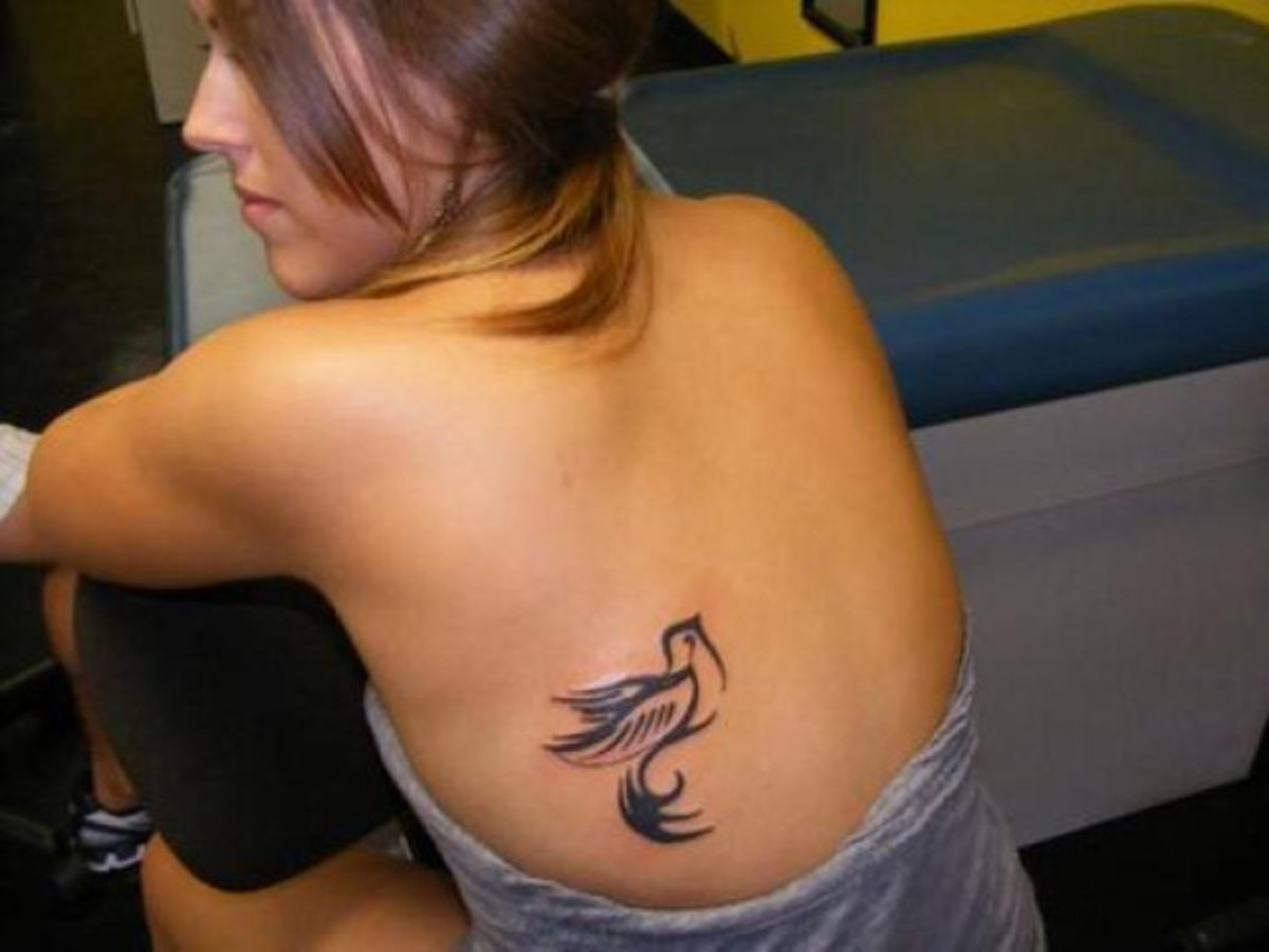 Sötét bélelt galamb tetoválás a hátán