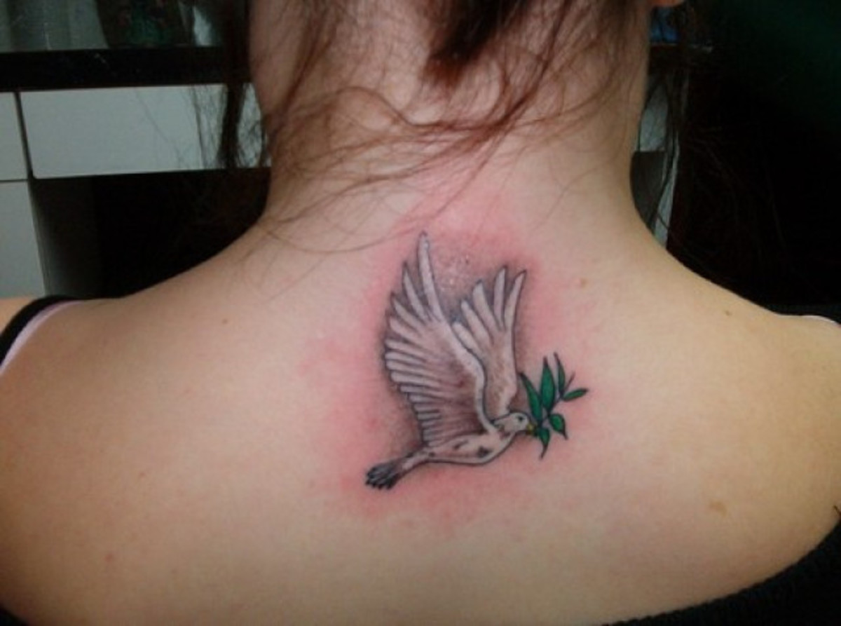 Színes galamb tetoválás a hát felső részén