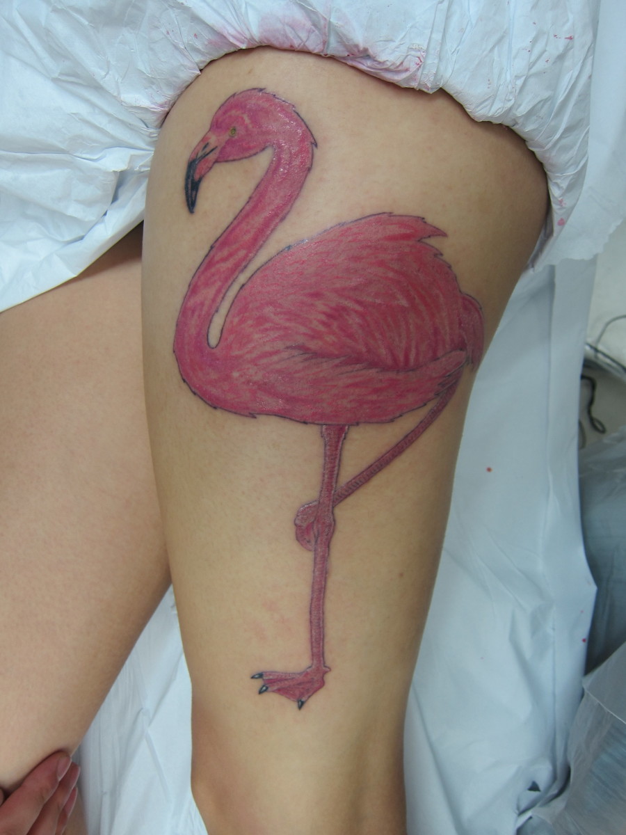 Flamingo -tatuointi