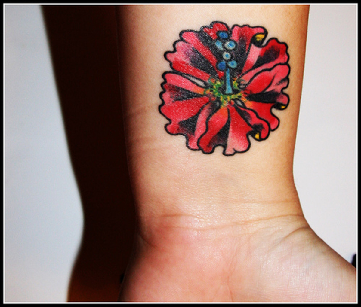Elävän värinen hibiscus
