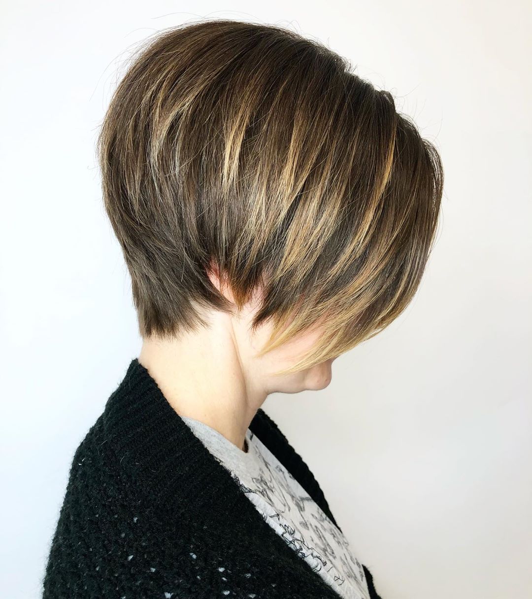 Lagdelt omvendt Pixie Bob