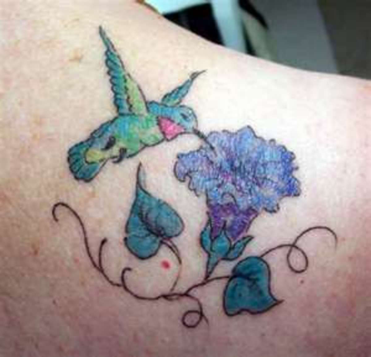 egy kolibri és a dicsőség tetoválása