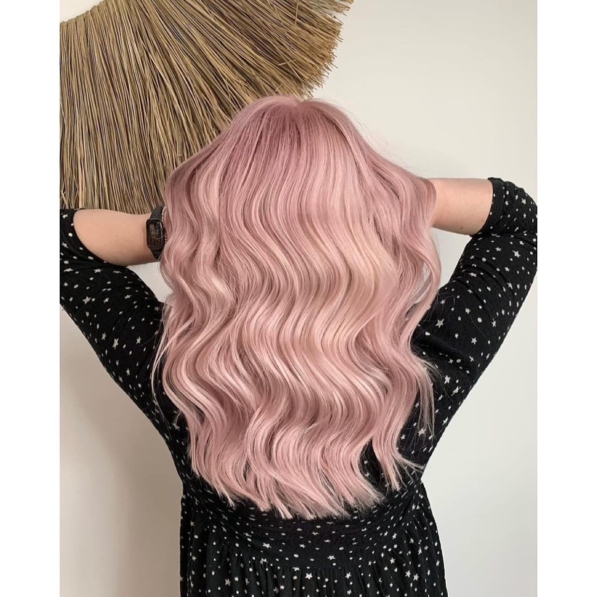 Rose gull pastell