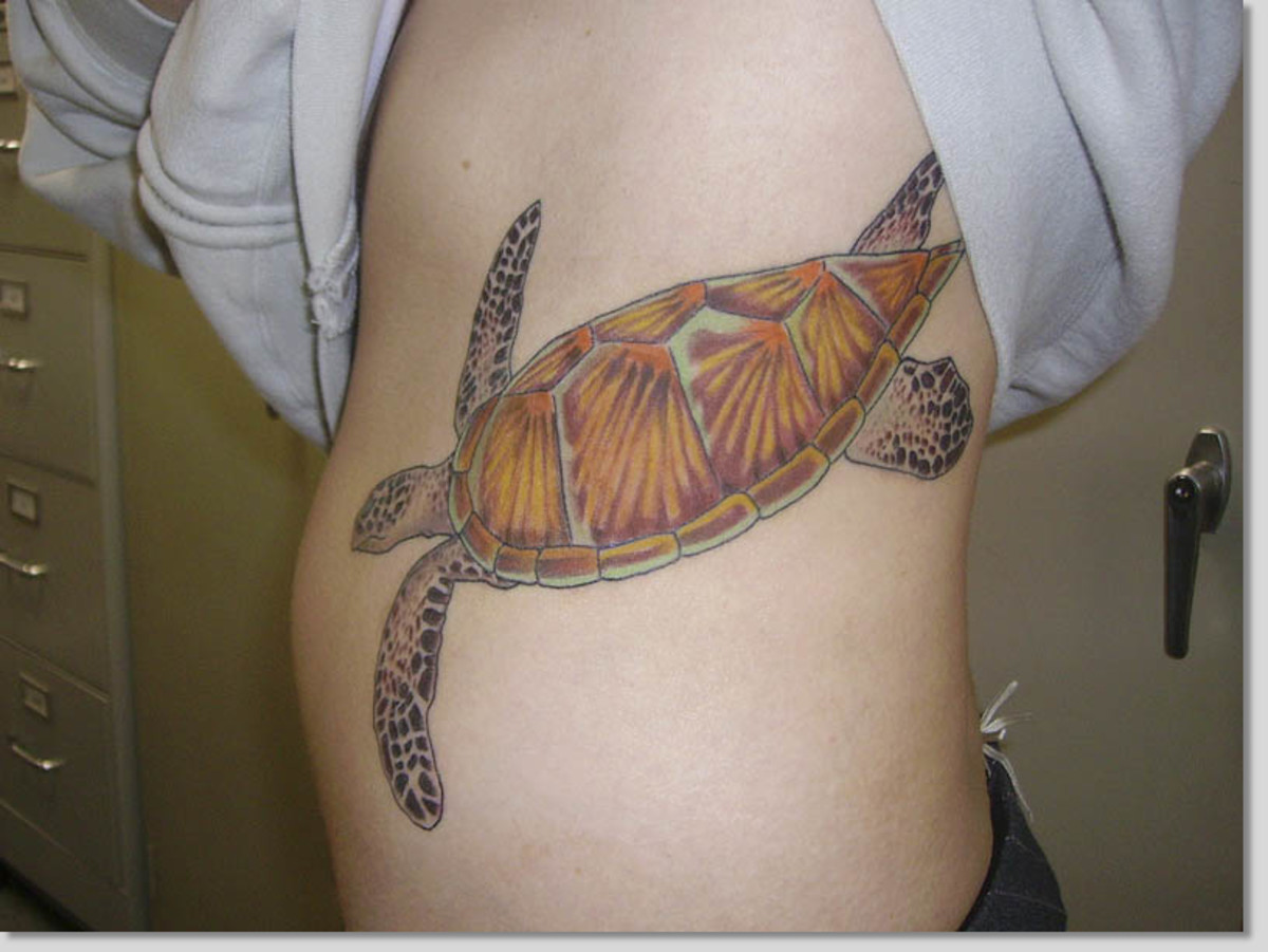 skipfiskeseter. tatoveringer
