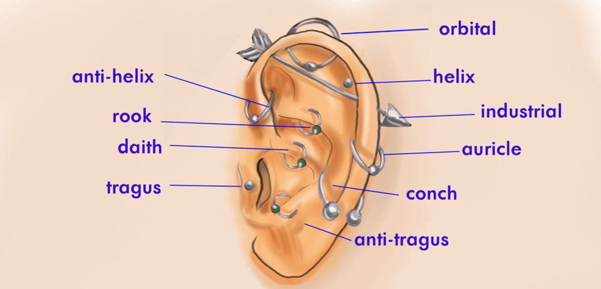 Különböző típusú fülporc piercingek. Az emberek már a történelem rögzítése óta szúrják a fülüket, és a valaha felfedezett legrégebbi mumifikált ember fülbevalót viselt.